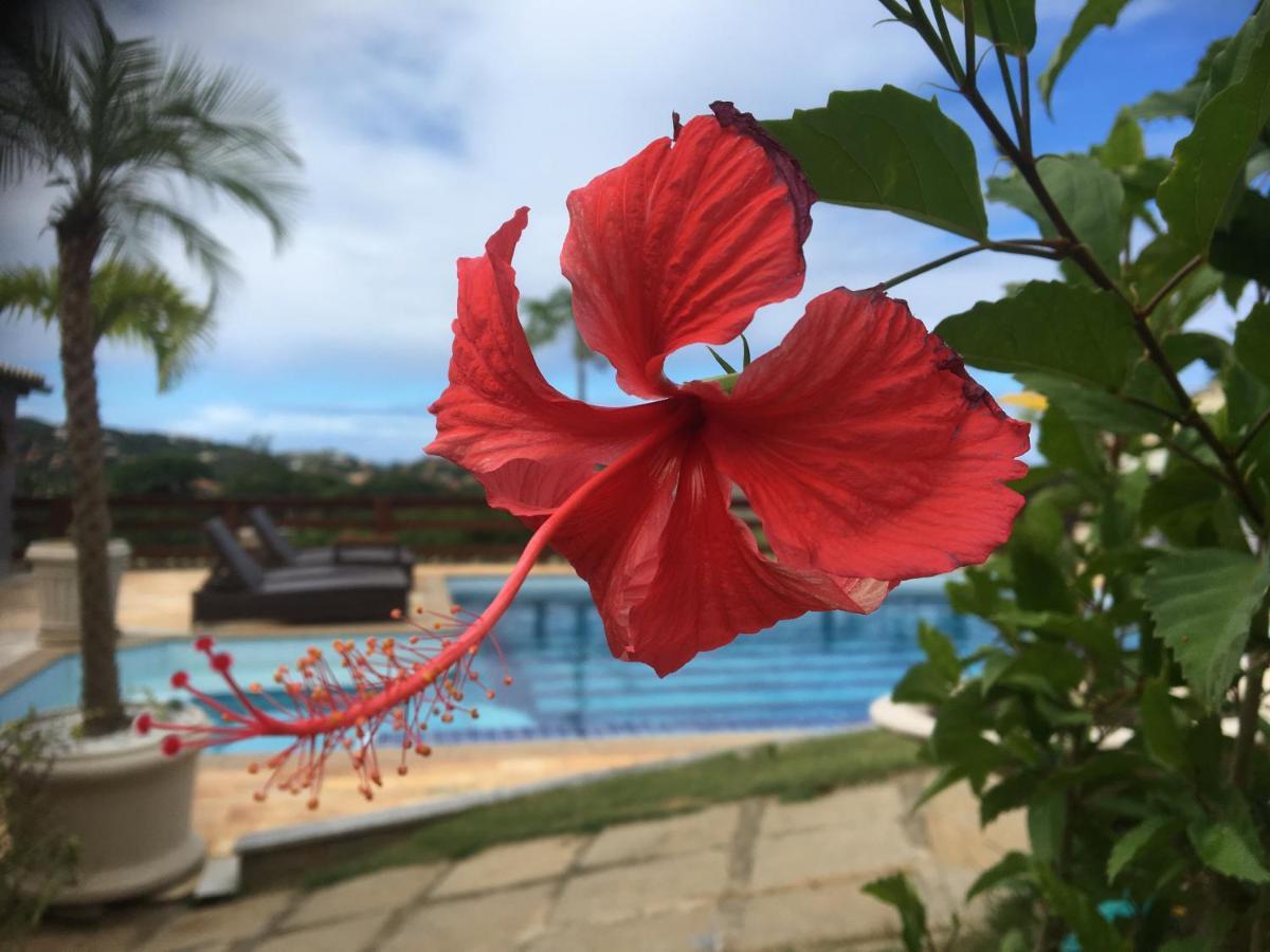 Búzios Chez Monsieur Bed & Breakfast エクステリア 写真