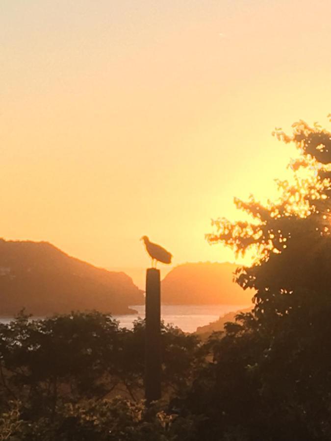 Búzios Chez Monsieur Bed & Breakfast エクステリア 写真