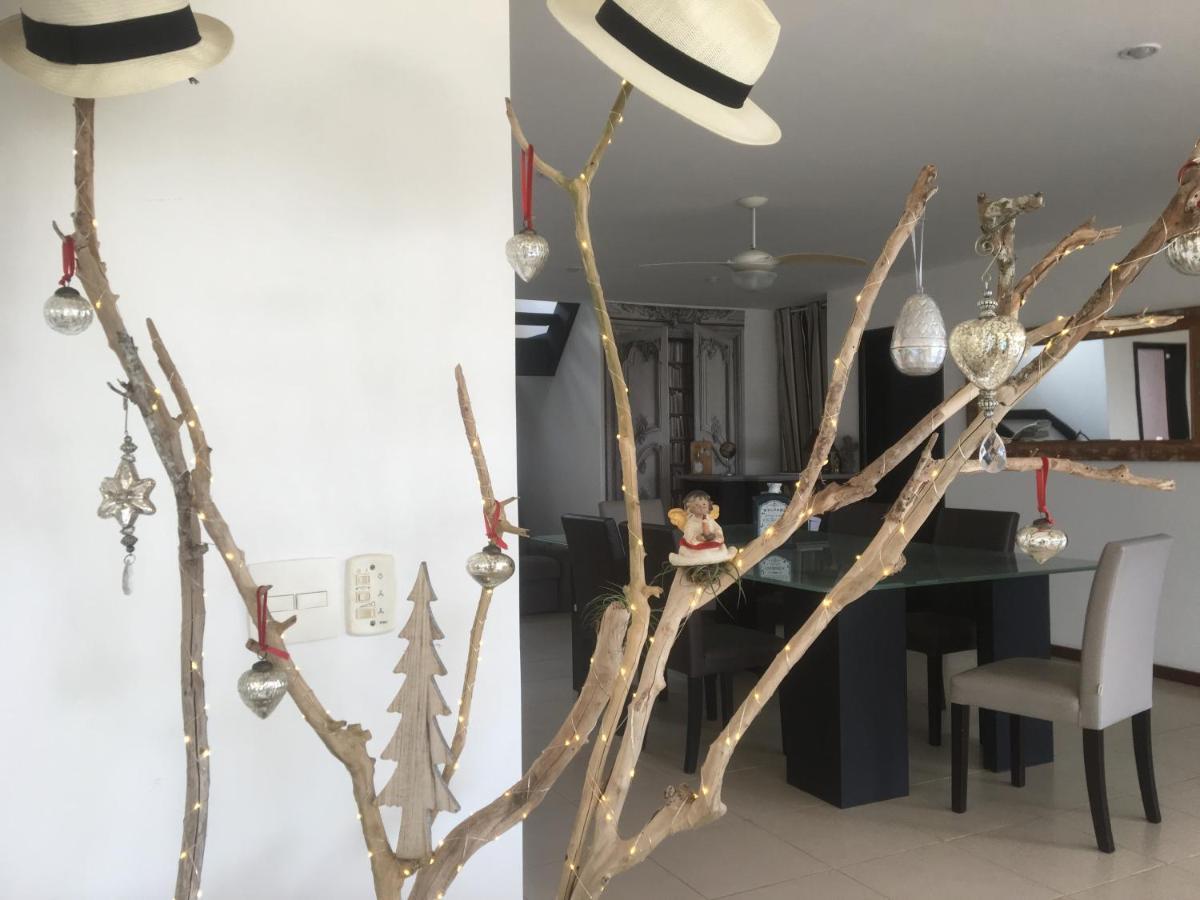 Búzios Chez Monsieur Bed & Breakfast エクステリア 写真